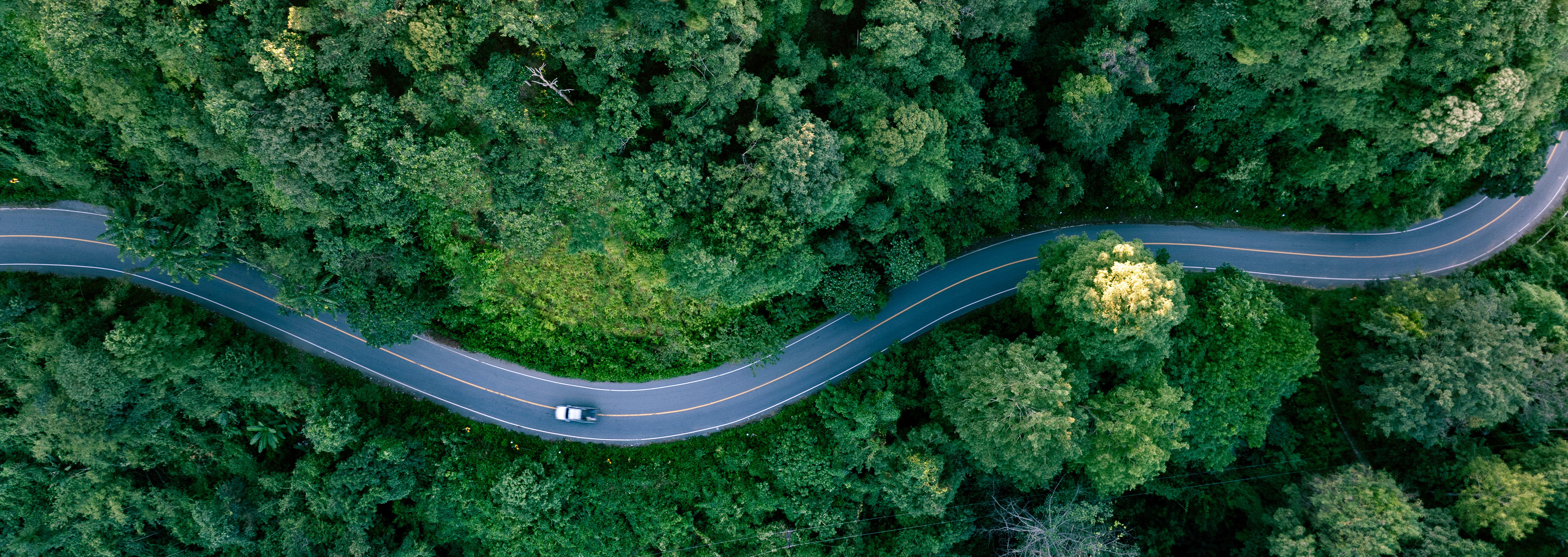 Boom du véhicule électrique : comment l’assistance répond aux nouveaux besoins ?