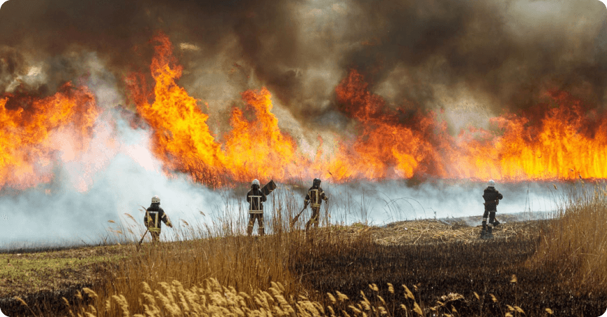 The escalating impact of wildfires