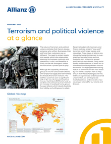 Terrorism and political violence