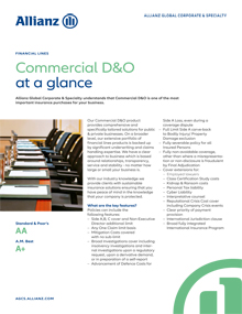 Commercial D&O