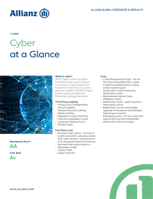 Cyber risks and solutions