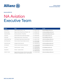 Aviation Executive team