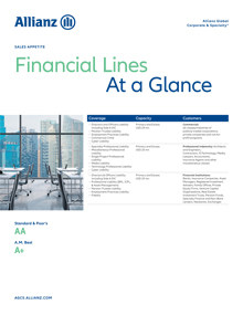 Financial Lines at a glance