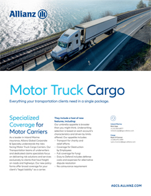 Motor truck cargo