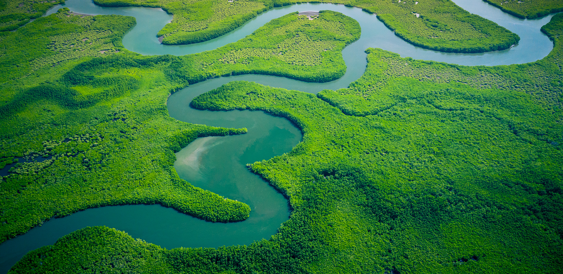 green landscape