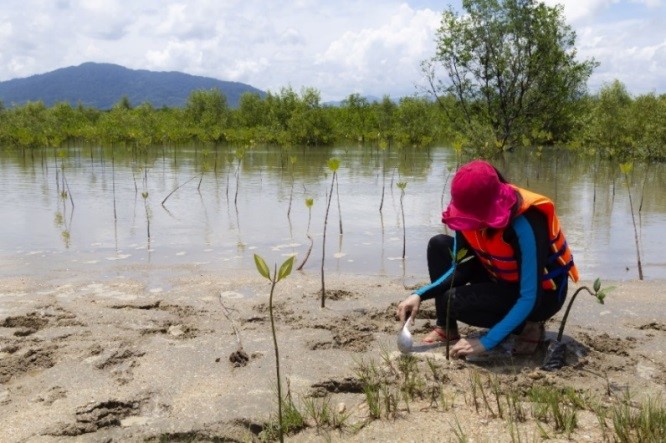 plantation planete urgence