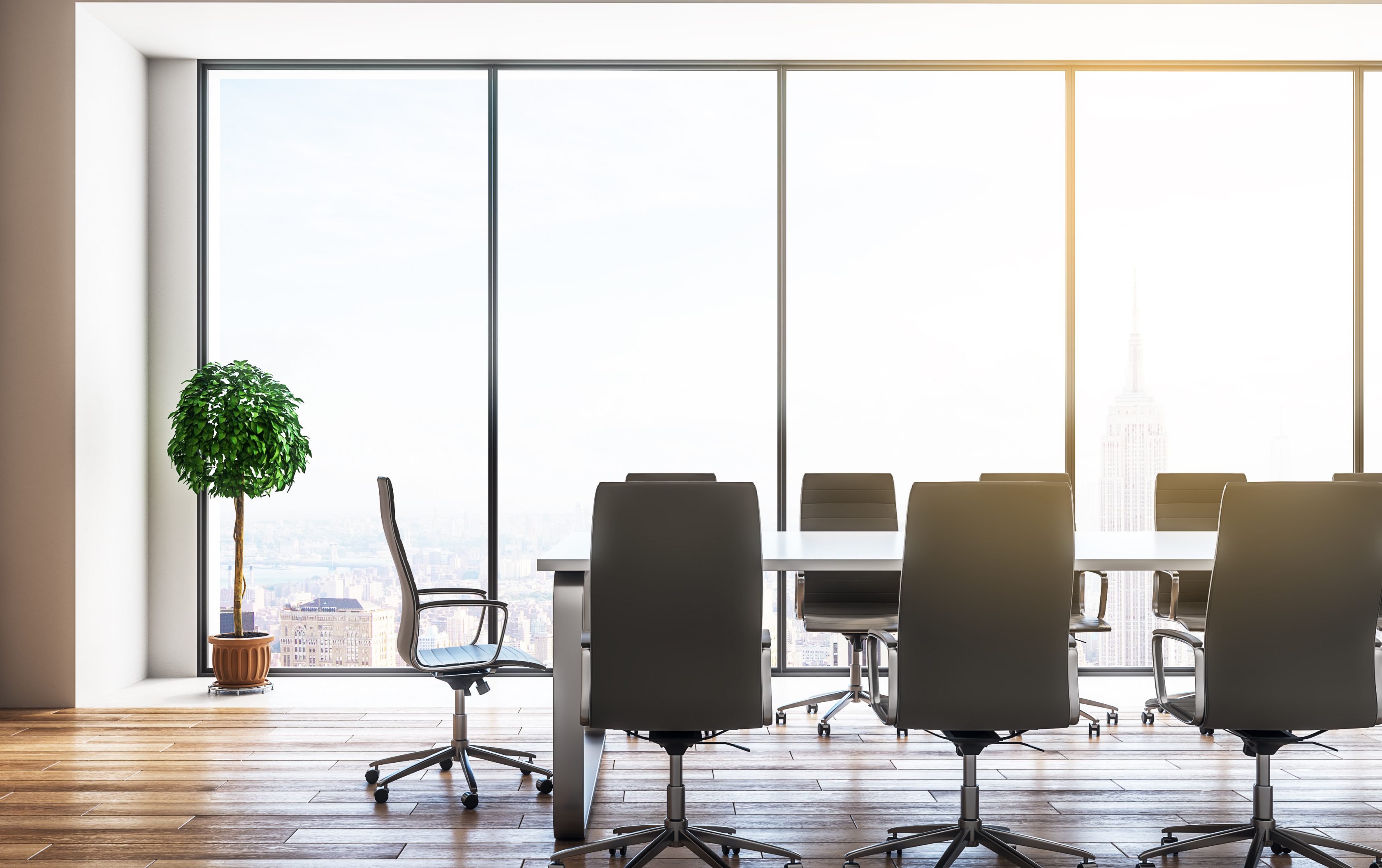 Board room white