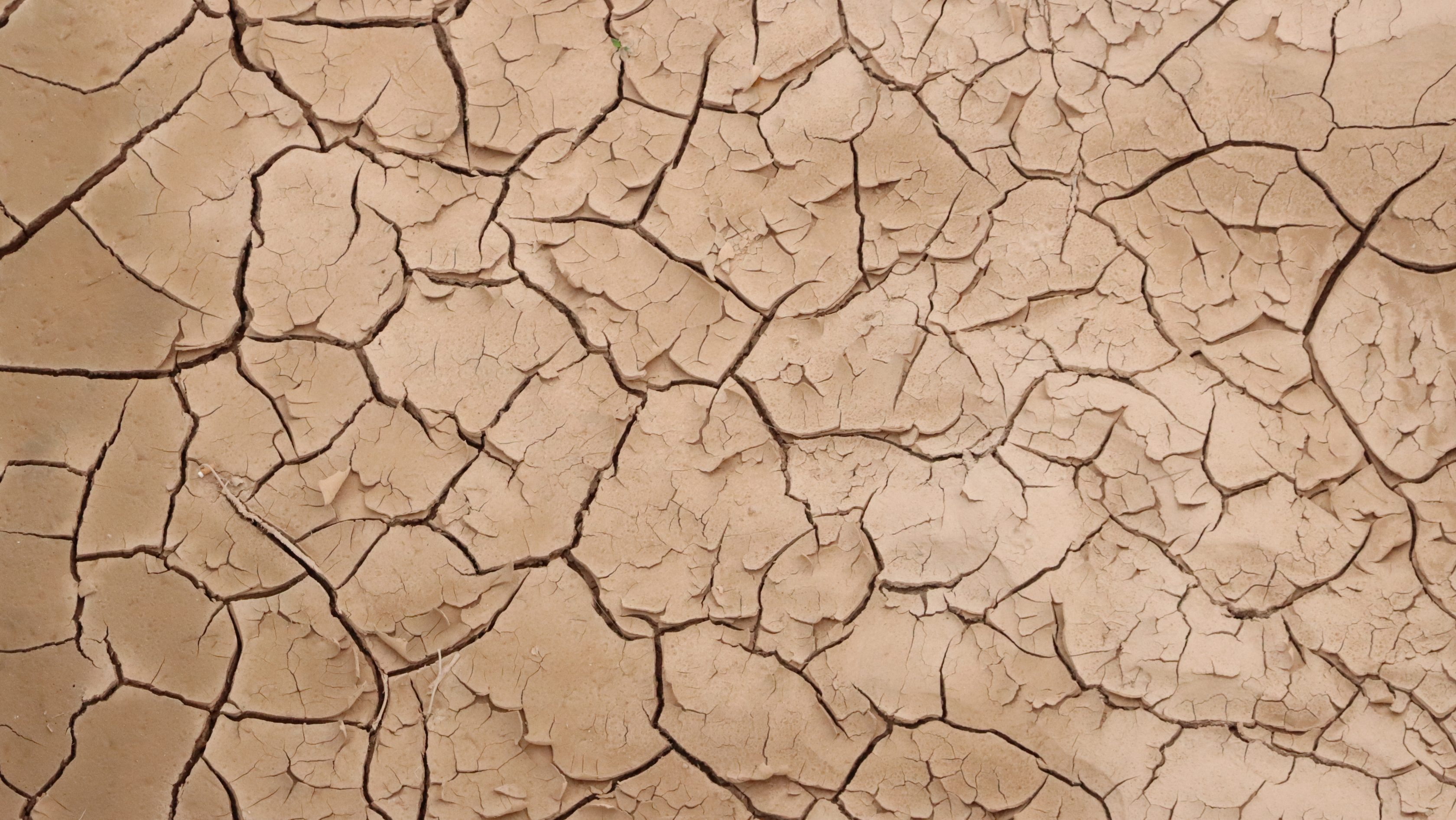 Cortometraje DANA Valencia