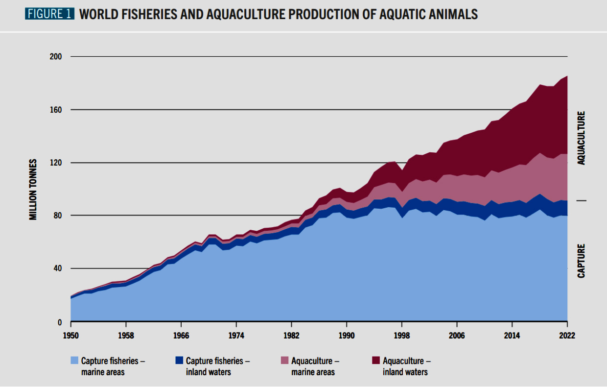 FAO. 2024. Der Stand der weltweiten Fischerei und Aquakultur 2024 - Blauer Wandel in Aktion. Rom.