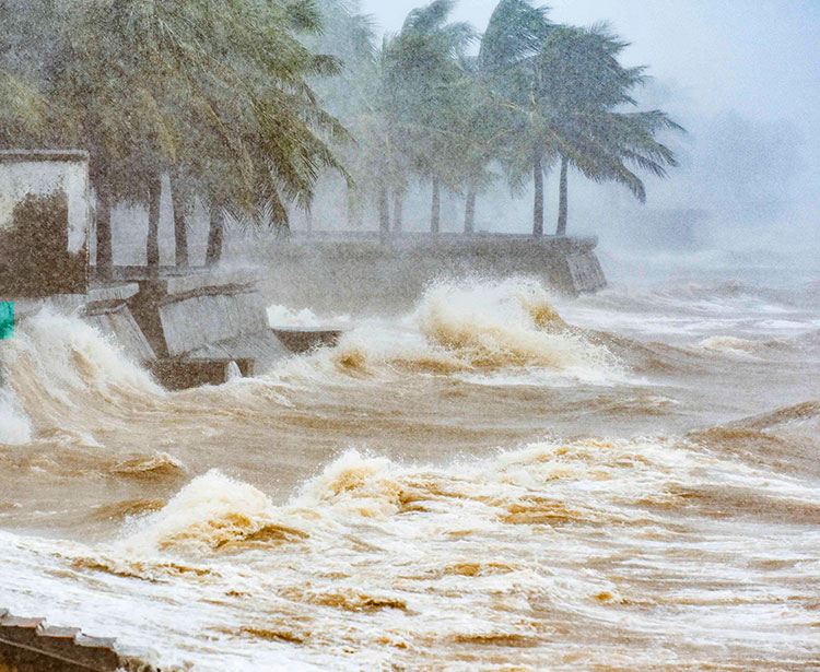 Tosende Wellen mit Regen entlang einer Küste mit Palmen