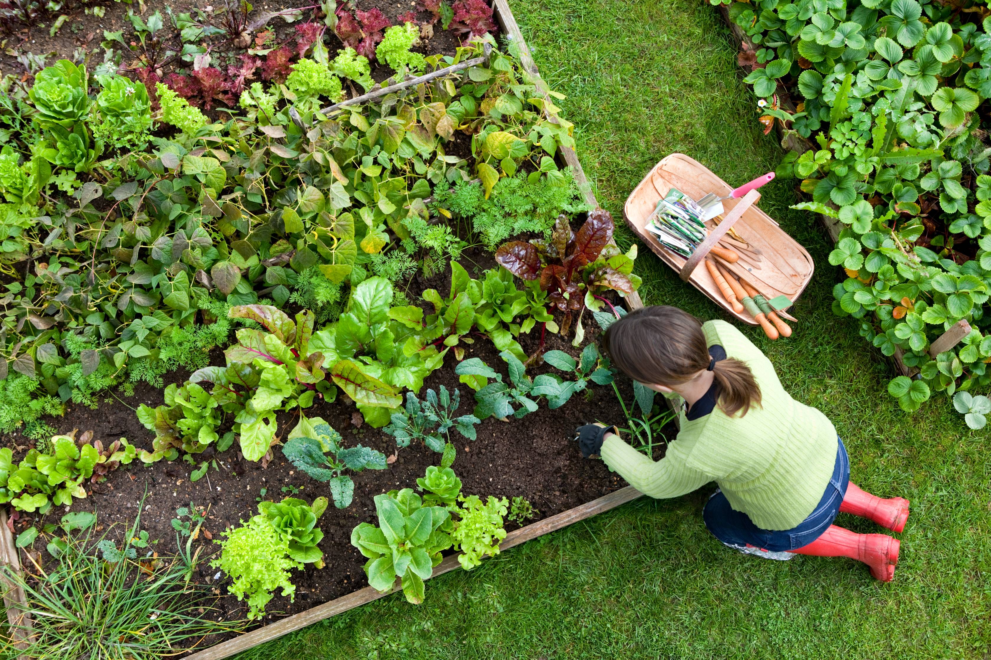 Assurance temporaire jardinage