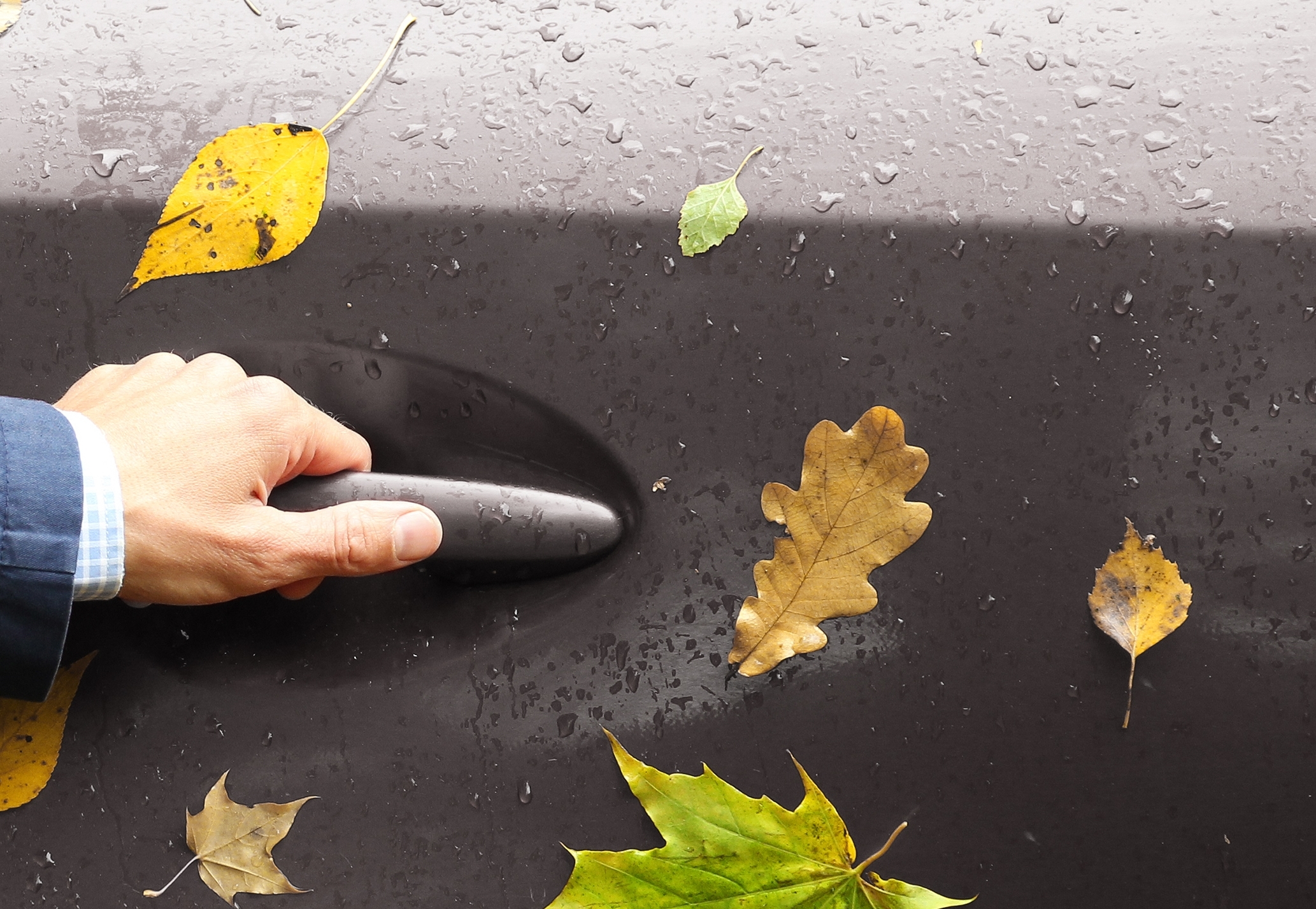 assurance auto professionnelle