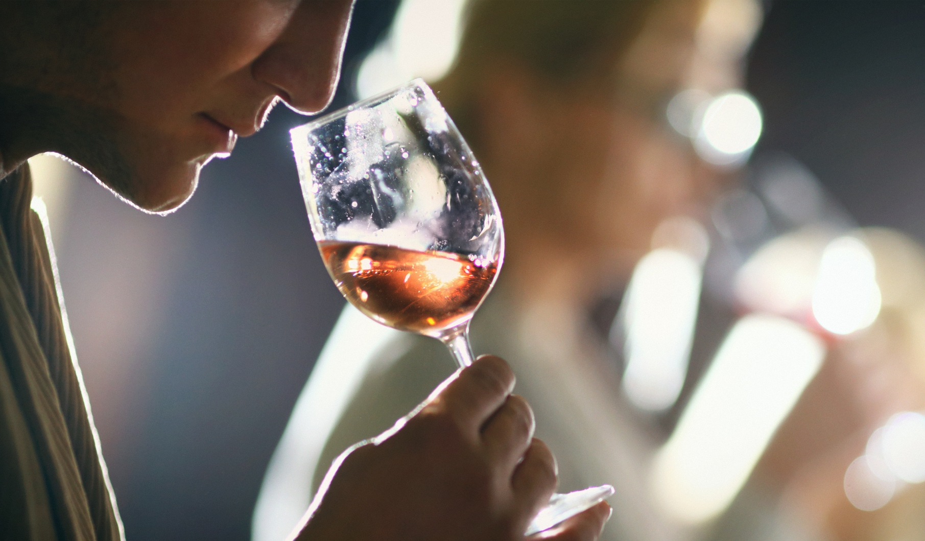 Assurance multirisque viticole et vinicole