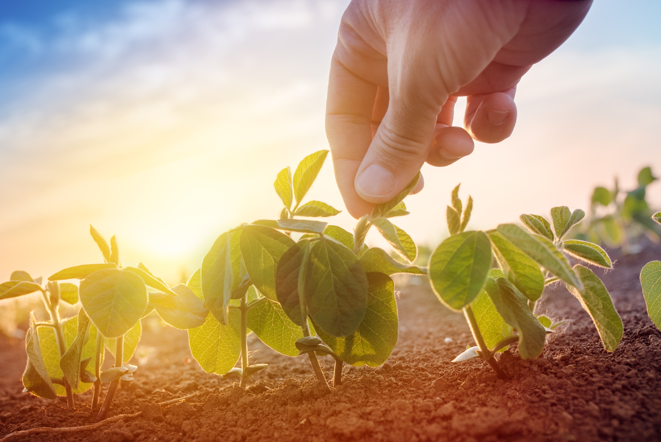 responsabilité civile Atteintes à l’environnement