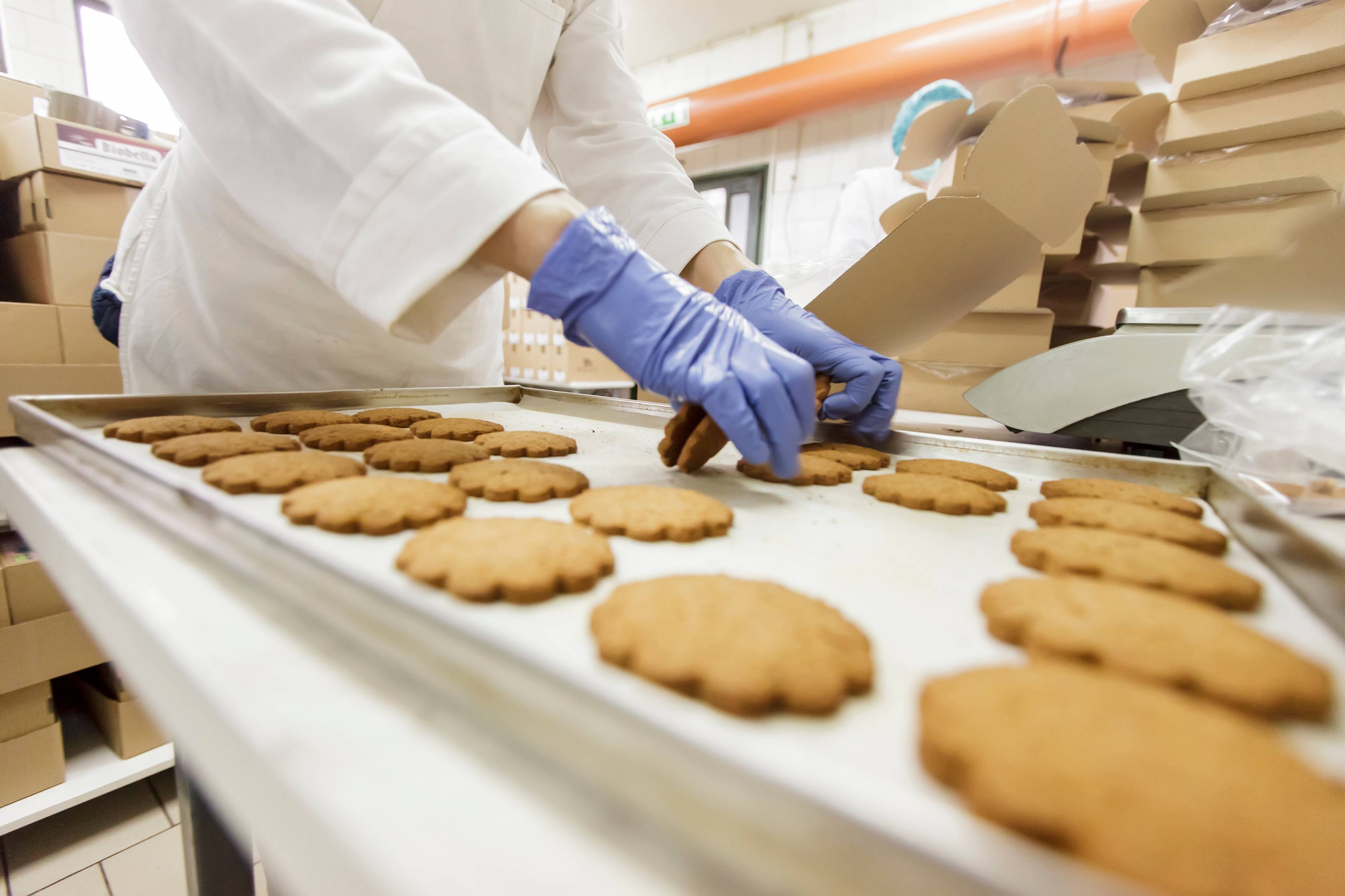 Industrie agro-alimentaire