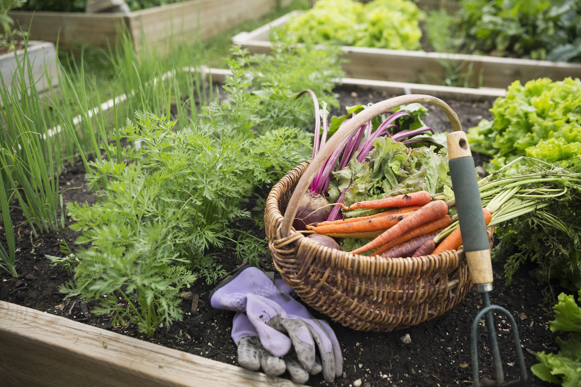 Allianz lutte contre le gaspillage alimentaire