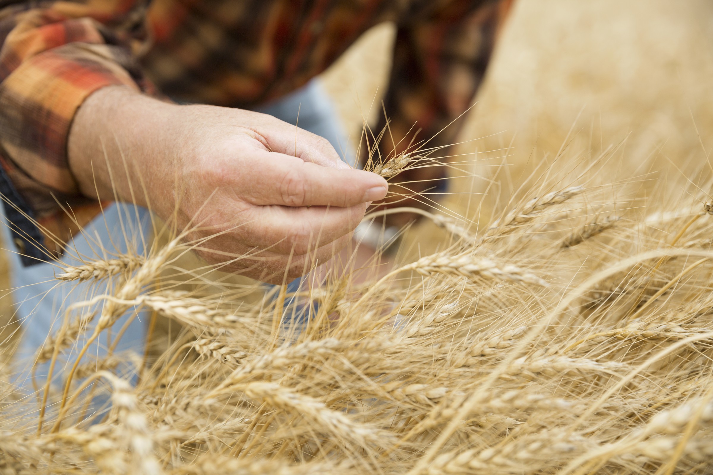 Assurance agriculteur viticulteur 
