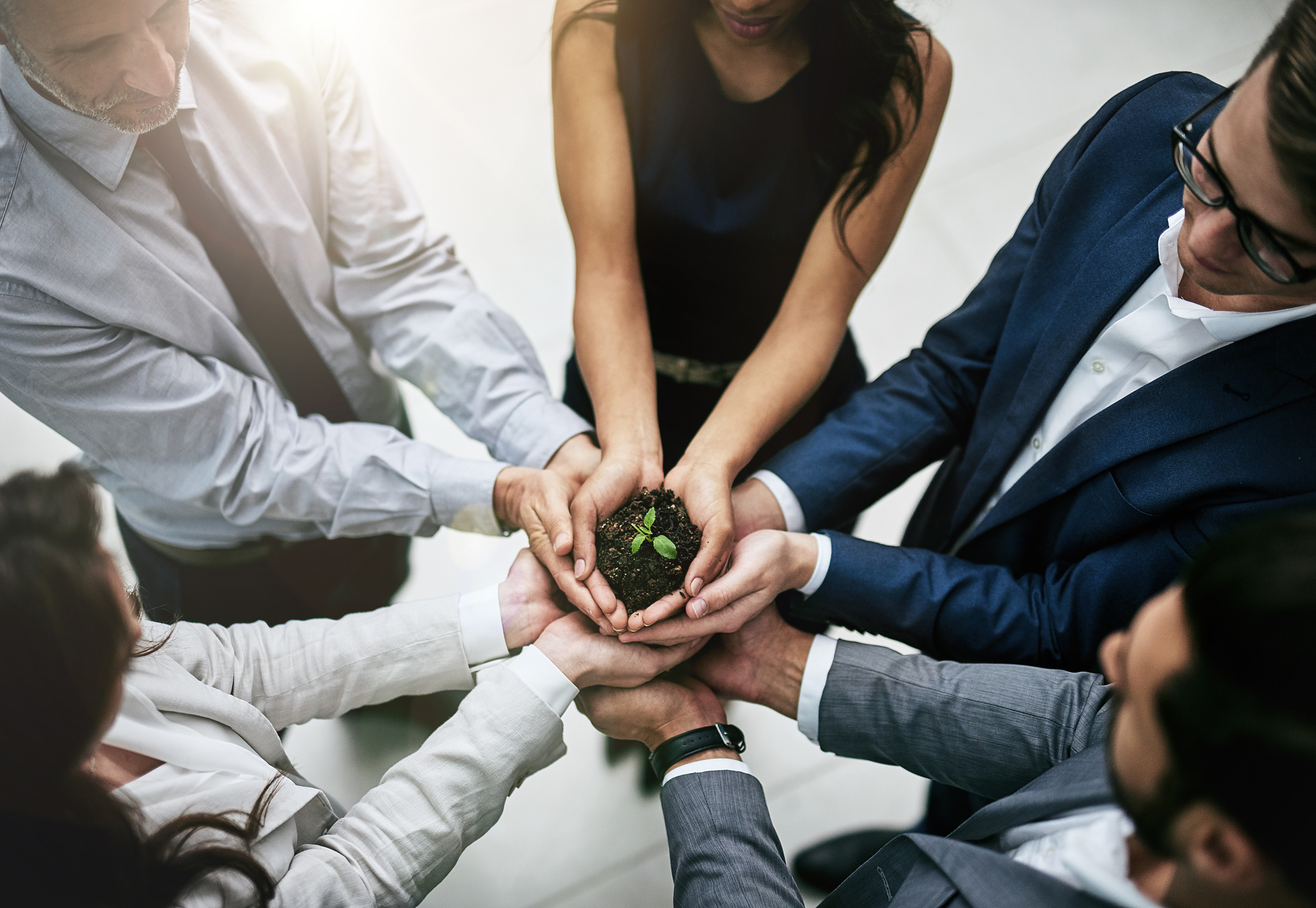 Eco responsabilité entreprise