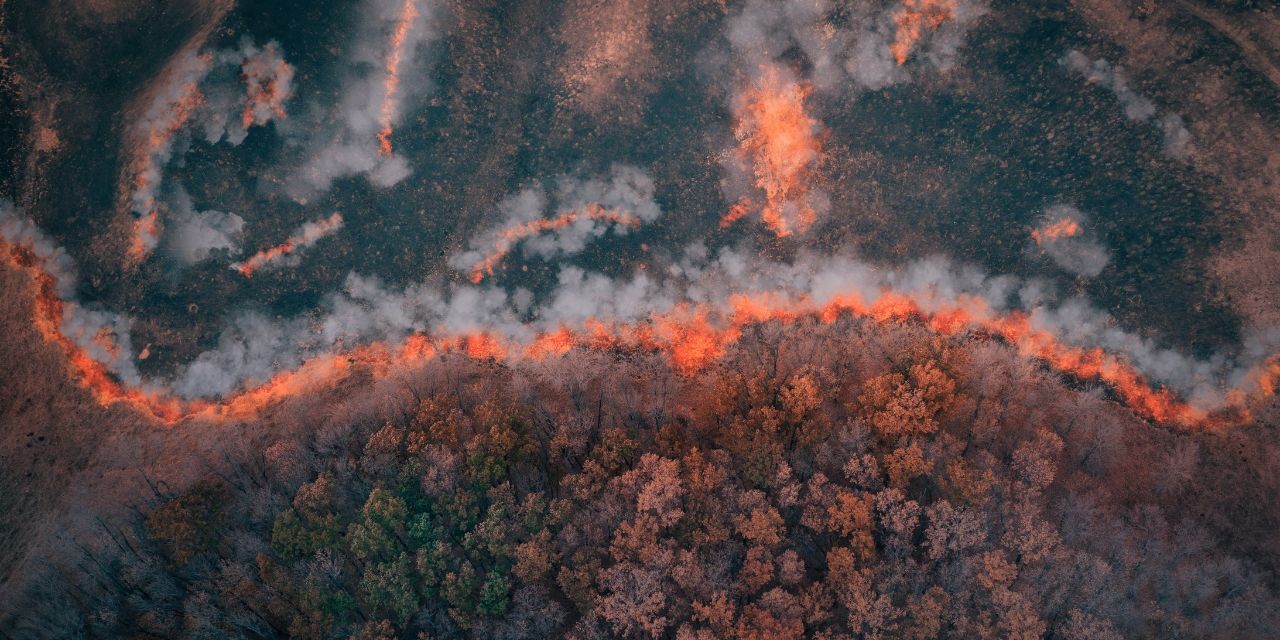 Image of a large forest cover on fire