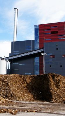Biomass power plant