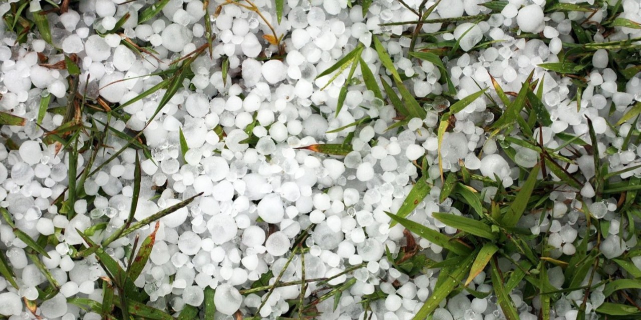 Image of hail on the grass