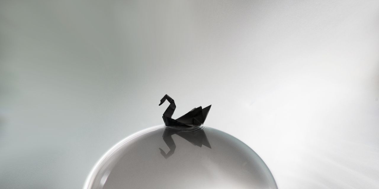 Black swan on the ball