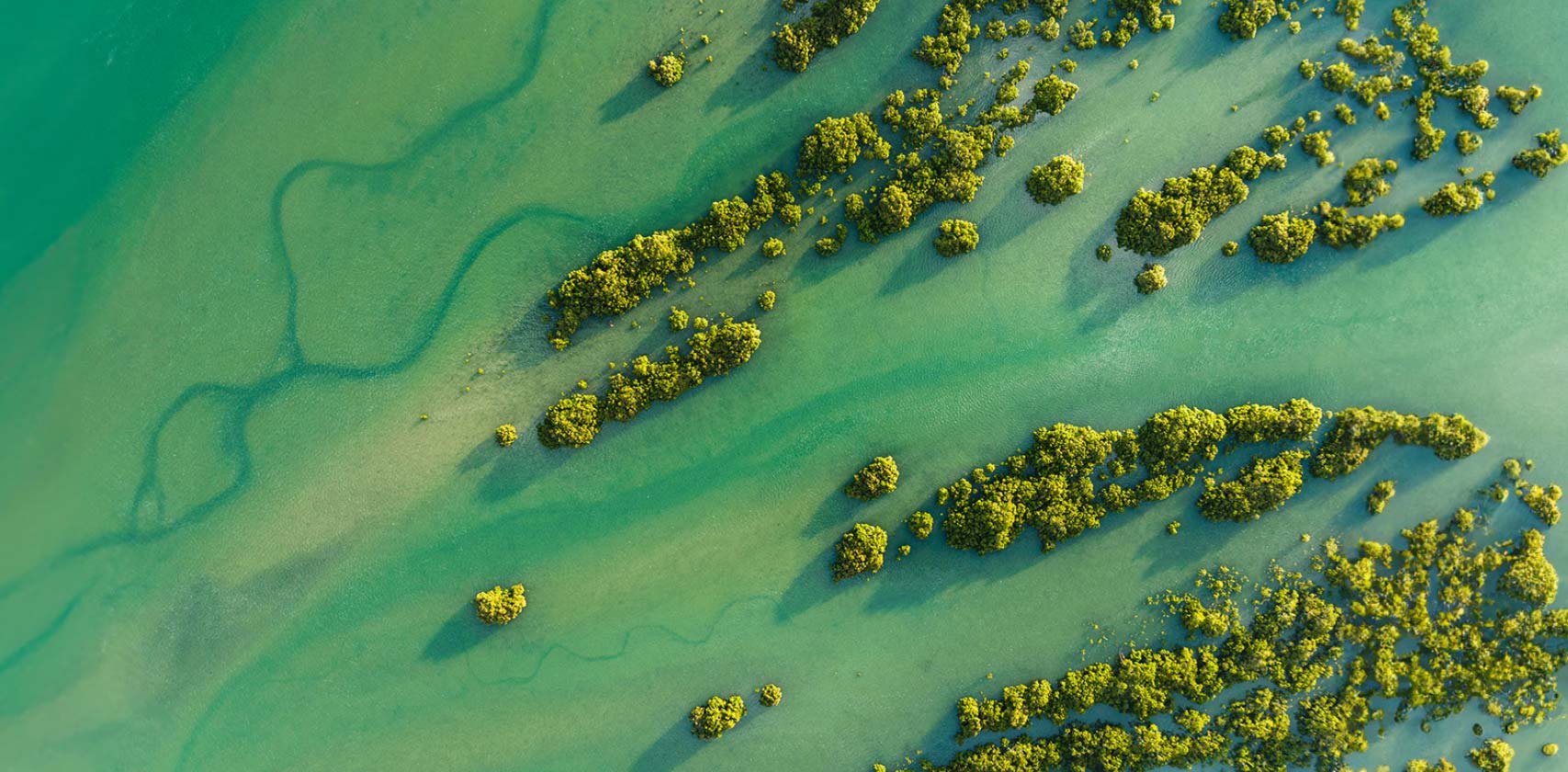 Earth from above: eutrophic green sea, with islands in between