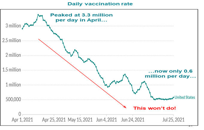 Daily COVID-19 vaccination rates - August 2021 Chart