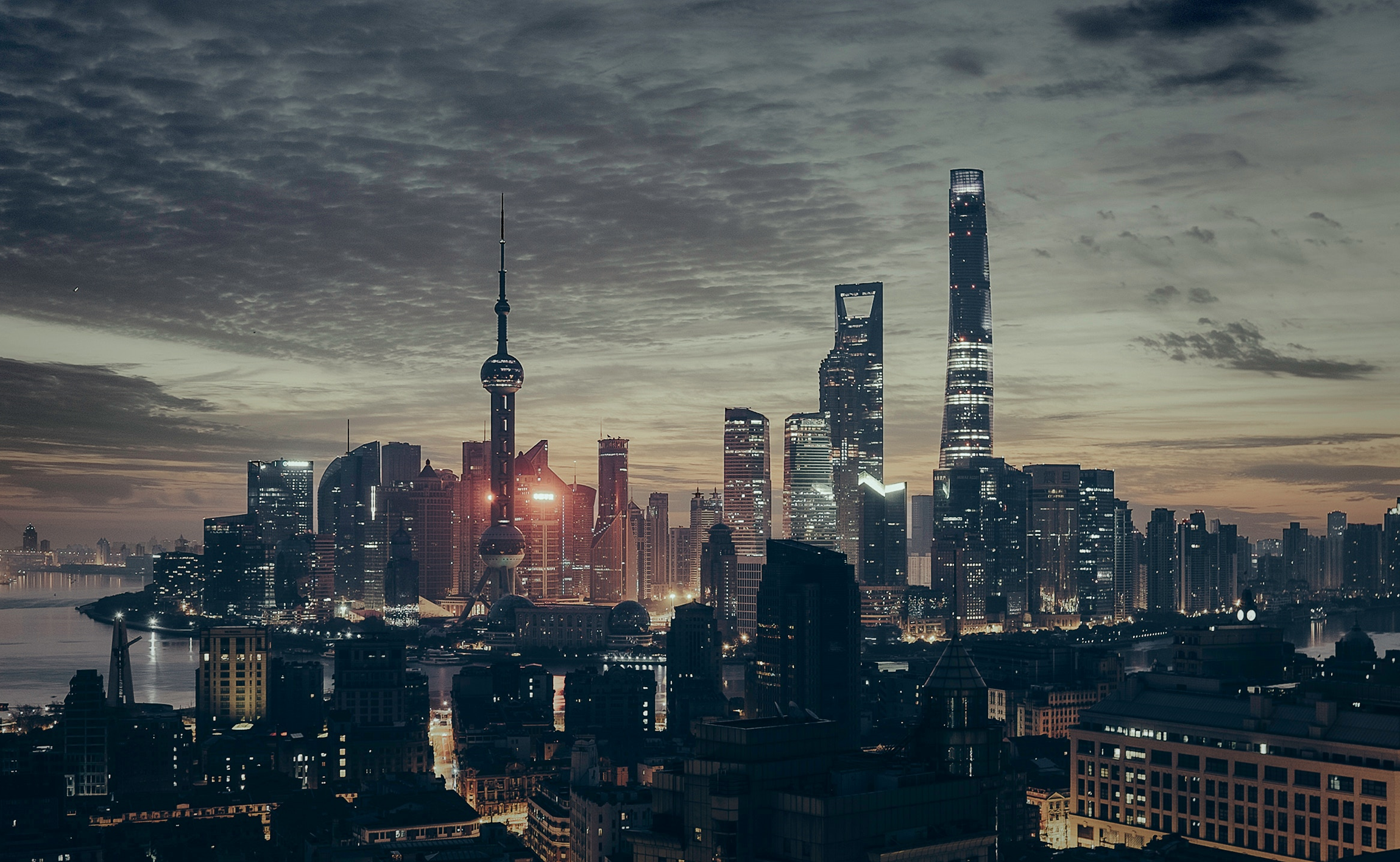 China: the year of the dog