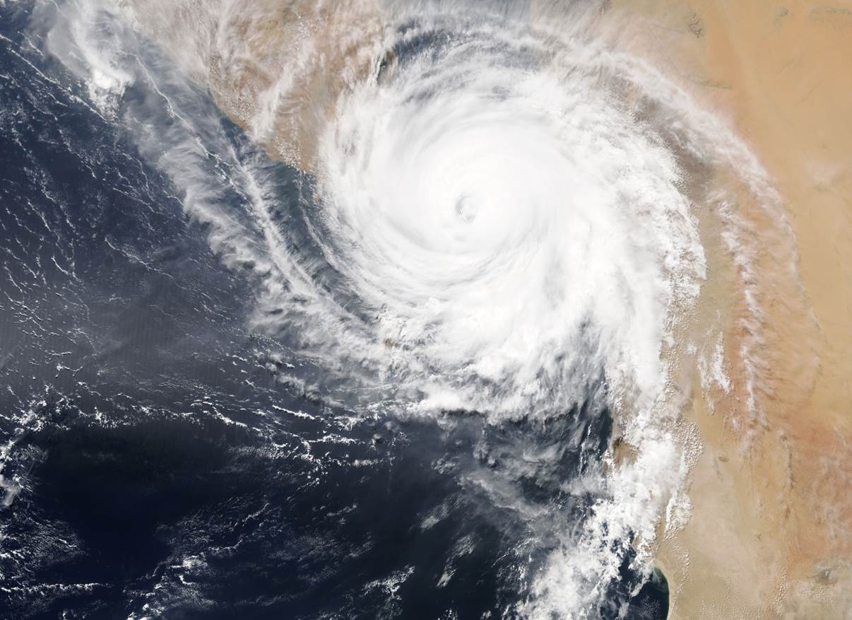 Global Economic Outlook Q3 2018: Reaping the Whirlwind