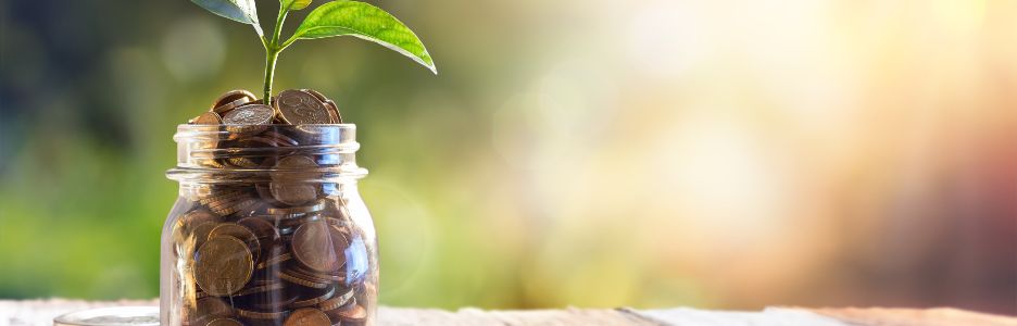 Imagen de una planta creciendo a raíz de unas monedas