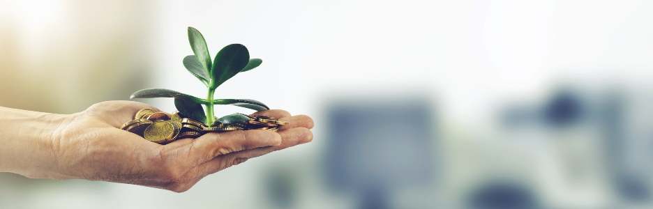 Cómo comprar acciones sin broker