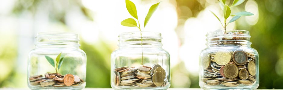 Imagen de una planta que crece en monedas en el tarro de cristal. Aumento de la cantidad de efectivo, inicio, concepto de crecimiento monetario.