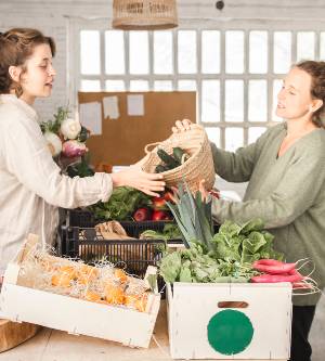 Tipos de IVA en los productos de la cesta de la compra | Blog Allianz