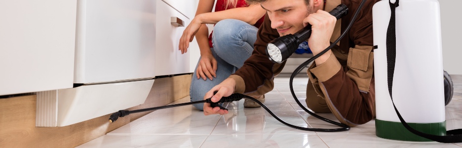 Imagen de un profesional especializado en control de plagas en una vivienda