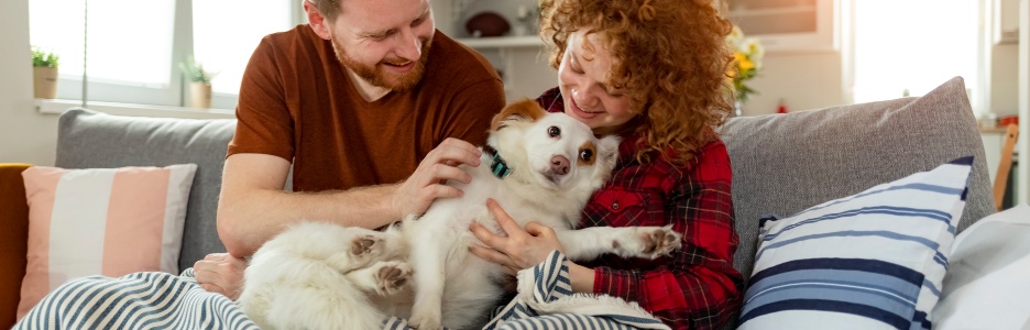 Imagen de una pareja jugando con un perro