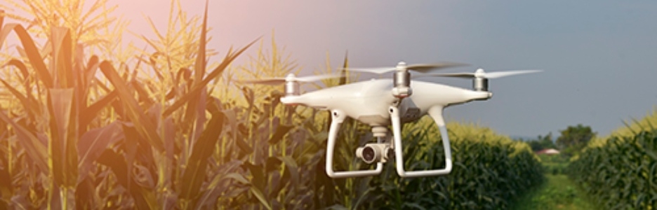 Imagen de un dron sobrevolando el cesped