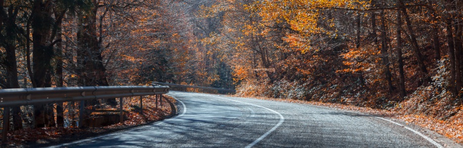 Imagen de una carretera rodeado de un bosque