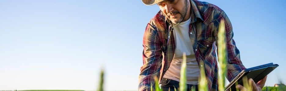 Imagen de un hombre cultivando cebada en su tierra y está examinando el progreso de los cultivos
