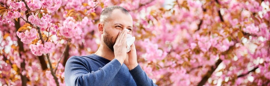 Imagen de un hombre alérgico que sufre de alergia estacional en primavera en un jardín floreciente en primavera hombre estornudando y sonándose la nariz usando un pañuelo nasal frente al concepto de alergia de primavera de árbol floreciente